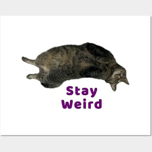 Stay Weird Kitty Posters and Art